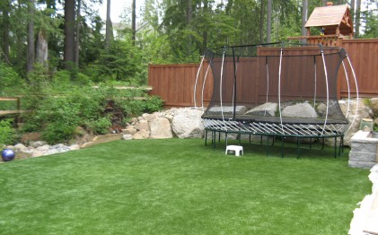 trampoline and rock[1]