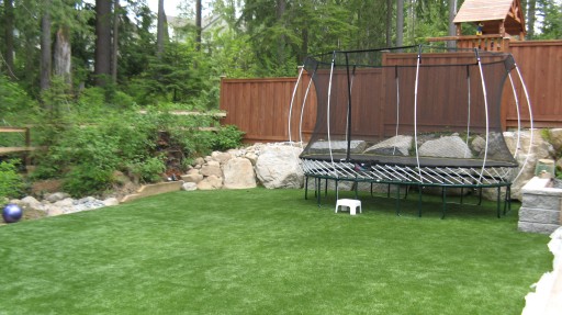 trampoline and rock[1]
